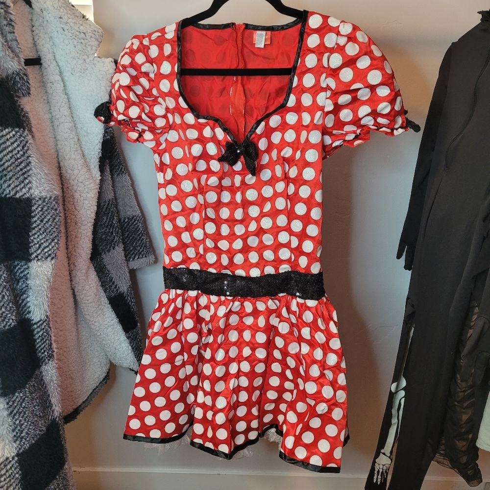 Minnie mouse costume